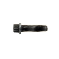 Mercury - SCREW (.250-28 Special) - 10-91012