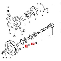 Raw water pump & cooling