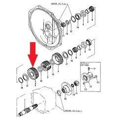 Yanmar - Gear Z55 - KM2P - 177088-03111