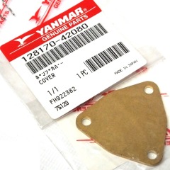 Genuine YANMAR Water Pump Cover Plate -  1GM & 1GM10 - 128170-42080