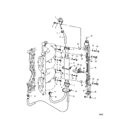 Fuel Injection Nozzle