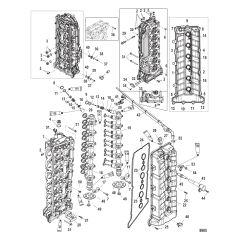Cylinder Head and Camshaft