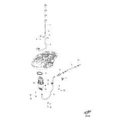 Fuel Supply System-Hoses and Module