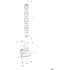 Camshaft and Oil Pump