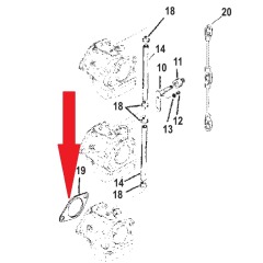 Mercury - GASKET Flange Carburetor - Quicksilver - 27-8144461