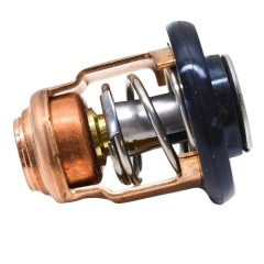 Genuine Yamaha Thermostat - Outboard - 2-Stroke - 6E5-12411-02