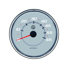  - SPEED 65MPH GRAY - 79-8M0069463