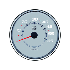  - SPEED 65MPH GRAY - 79-8M0069463