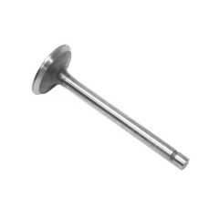Mercury - VALVE Exhaust - Quicksilver - 8M0074362