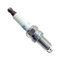 Genuine NGK Spark Plug F9.9H F20B F40F - DPR6EB-9 - NGK